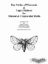 Picture of Day Moths of Wisconsin & Upper Midwest  for  Diurnal & Crepuscular Moths