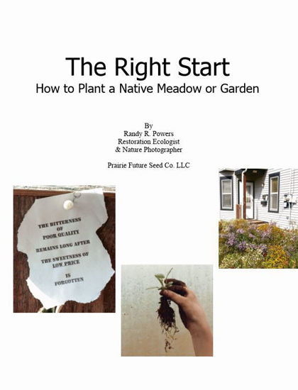 Picture of The Right Start: How to Plant a Native Meadow or Garden